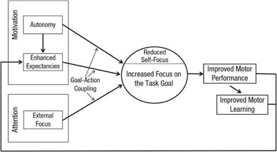 Every story has two sides: evaluating information processing and ecological dynamics perspectives of focus of attention in skill acquisition